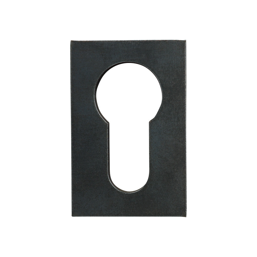 Euro Profile Escutcheon Metal Barrel Protector